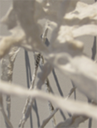 Gail Baxter, Contemporary lace, Reading Shadows